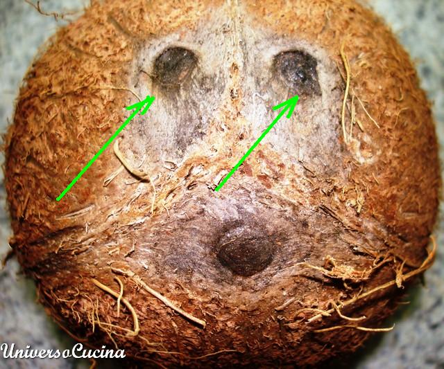 Indicazione delle forature da praticare