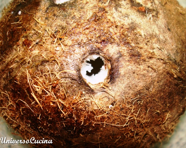 La noce di cocco forata