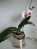 DSCF4185_1.jpg